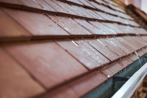 A wet shingle roof
