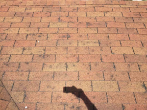 Hail damaged roof